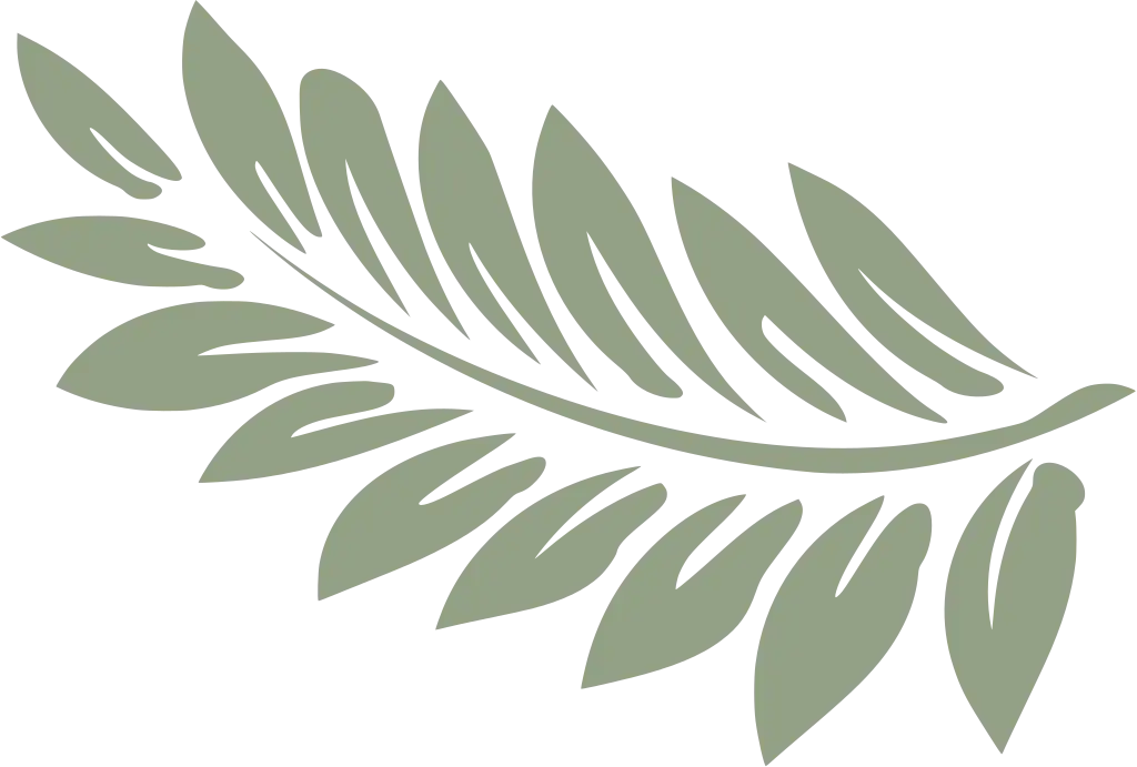 hoja helecho green 2.webp